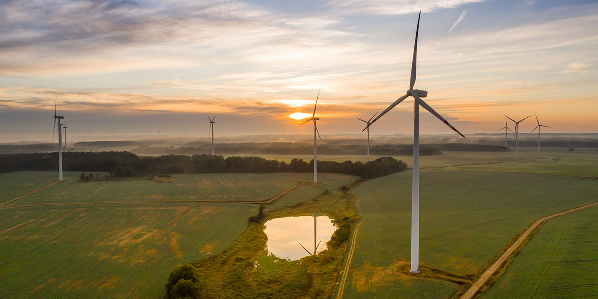 Imagen parque molinos de viento
